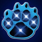 Flashing Paw Print Lights -  