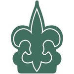 Fleur de Lys Foam Mitt - Dark Green
