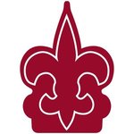 Fleur de Lys Foam Mitt - Maroon 202