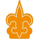 Fleur de Lys Foam Mitt - Orange 021