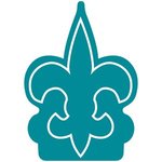 Fleur de Lys Foam Mitt - Teal