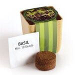 FLOWER POT SET WITH BASIL SEEDS