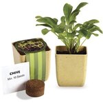 Flower Pot Set with Chive Seeds - Tan