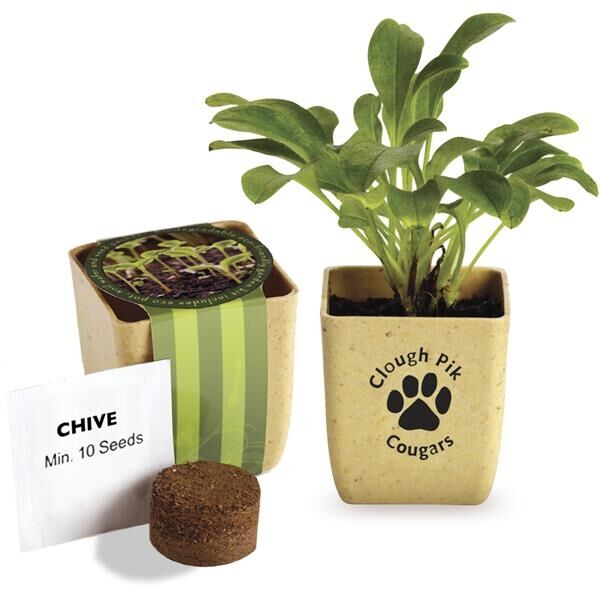 Main Product Image for Promotional Flower Pot Set with Chive Seeds