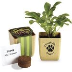 Buy Promotional Flower Pot Set With Chive Seeds