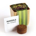 Flower Pot Set with Marigold Seeds - Tan