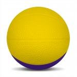 Foam Basketballs  Nerf - 5" Middie - Yellow/Purple