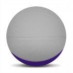 Foam Basketballs  Nerf -6" Large - Gray/Purple