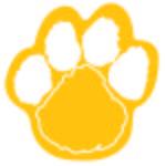 Foam Paw Mitt - Athletic Gold