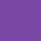Football-Shaped Vinyl Stadium Cushion (18") - Purple
