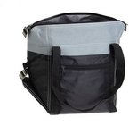 Glacier Convertible Cooler Bag - Bright Gray