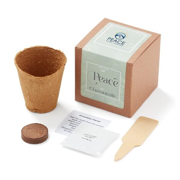 Main Product Image for Grow Some Peace Planter in Gift Box