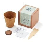 Grow Some Peace Planter in Gift Box