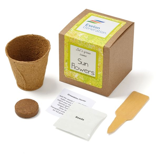 Main Product Image for Growables Planter in Kraft Gift Box