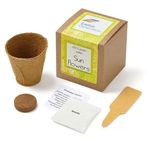 Buy Growables Planter in Kraft Gift Box