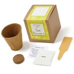 Growables Planter in Kraft Gift Box