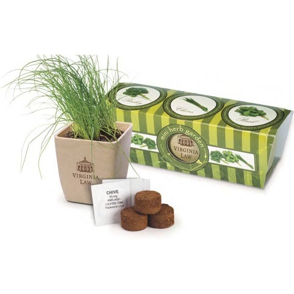 Main Product Image for Imprinted Growpot Eco-Planter Herb 3 Pack