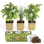 GrowPot Eco-Planter Herb 3 Pack -  