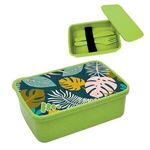 Harvest Lunch set With Full Color Lid - Lime