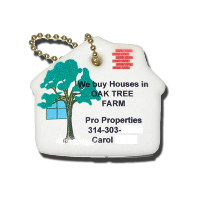 Main Product Image for House Key Float Key Chain