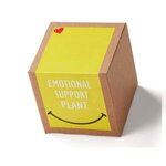 Inspirational Emotional Support Growable Seed Planter Kit