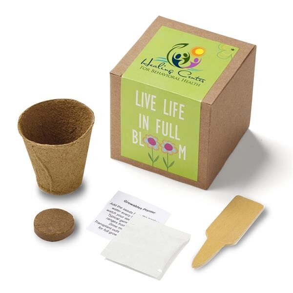 Main Product Image for Inspirational Live Life Growable Seed Planter Kit