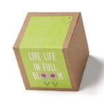 Inspirational Live Life Growable Seed Planter Kit -  