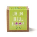 Inspirational Live Life Growable Seed Planter Kit -  