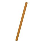 Jumbo Untipped Pencil -  