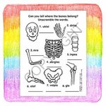 Learn About X-Rays Coloring and Activity Book Fun Pack -  