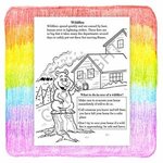 Learning Natural Disaster Safety Coloring Book Fun Pack -  