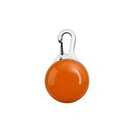 LED Clip-on Pet Safety Light -  