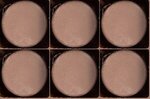 Logo Oreo(R) Cookies - Gift Box of 6 - Milk Chocolate