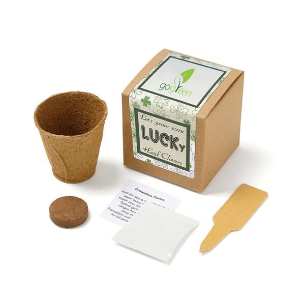 Main Product Image for Lucky 4 Leaf Clover Seed Growable Planter Kit