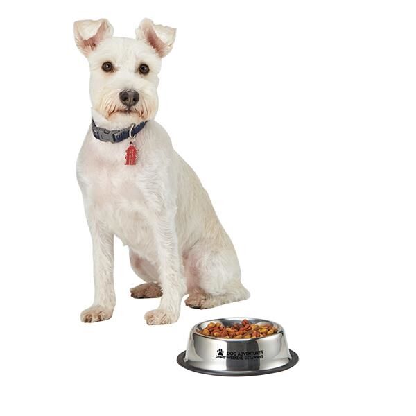 Main Product Image for Medium Stainless Steel Pet Bowl