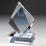 Medium Summit Award - Silkscreen -  