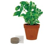 Mini Bamboo Blossom Kit - Terracotta