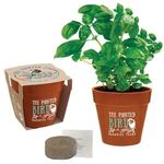 Mini Bamboo Blossom Kit - Terracotta