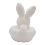 Mini Bunny Duck -  