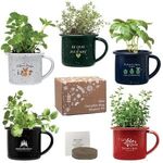 Buy Mini Campfire Mug Blossom Kit