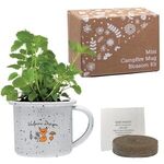 Mini Campfire Mug Blossom Kit -  