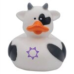 Buy Mini Cow Duck