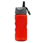 Mini Mountain 22 oz Bottle with Flip Straw Lid - Transparent Red