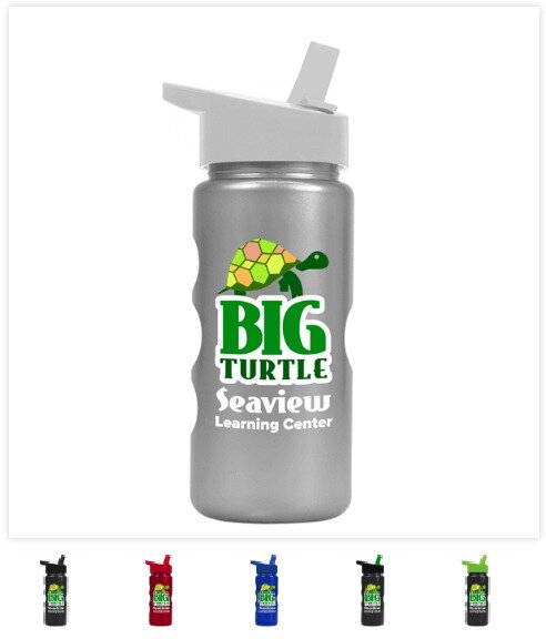 Main Product Image for Mini Peak - 22 oz. Metalike Bottle w/ Flip Straw Lid-Digital