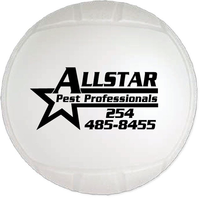 Main Product Image for Custom Printed Mini Throw To Crowd Volleyball - 4.5"