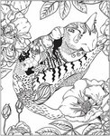Nature. Stress Relieving Coloring Books for Adults -  
