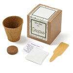 Oregano Seed Growable Planter Kit -  