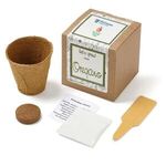 Buy Oregano Seed Growable Planter Kit