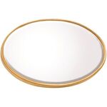 Oval Domed Lapel Pin -  