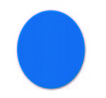 Oval Jar Opener - Blue 300u